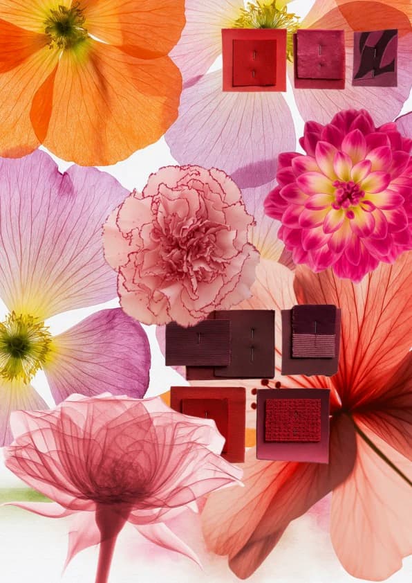 Floral Explosion moodboard collage